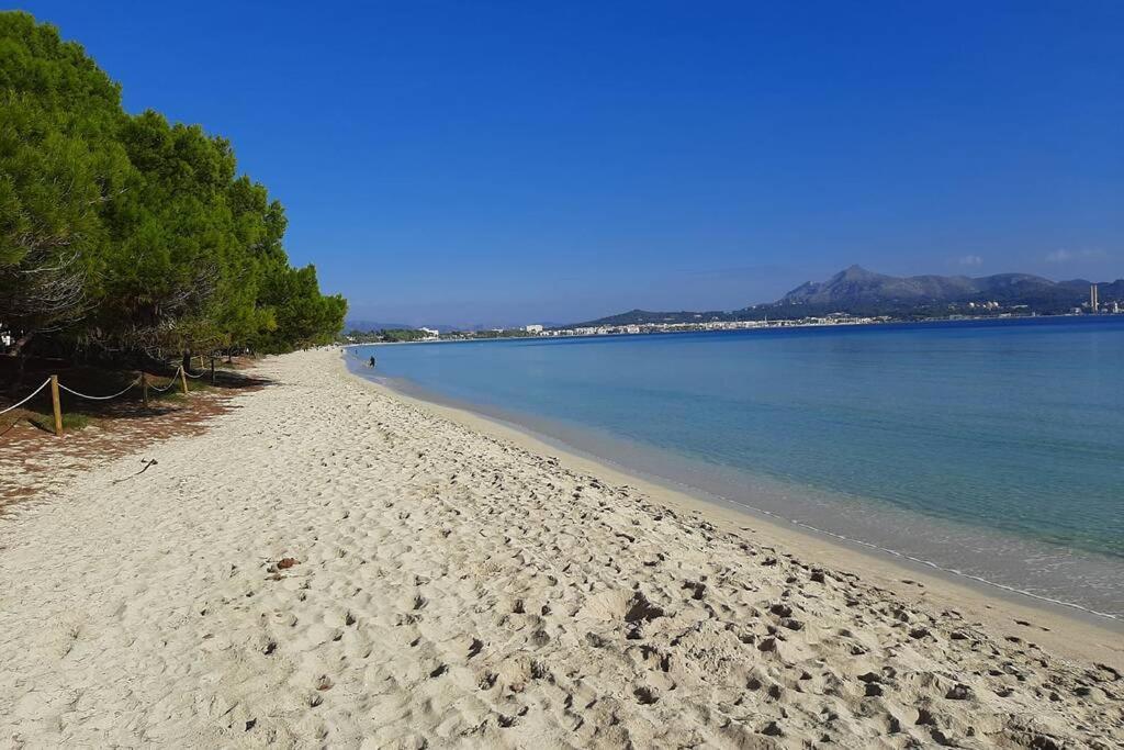 Apartment Francesca Beach With Pool In Playa De Alcudia Apartamento